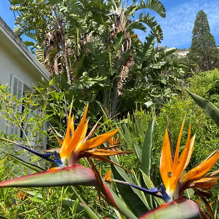 Petite Bord De Dom wakacyjny Èze